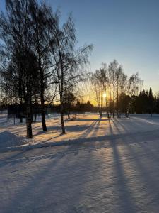a snow covered field with trees and the sun in the distance at Kemi City IV, near snowcastle, premium studio, FREE private parking, Special Price! in Kemi