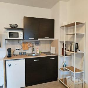 Kuchyň nebo kuchyňský kout v ubytování Green life Ski & Spa Studio