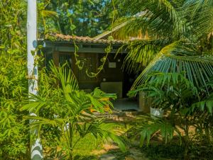 Aed väljaspool majutusasutust Neem Jay Beach Resort