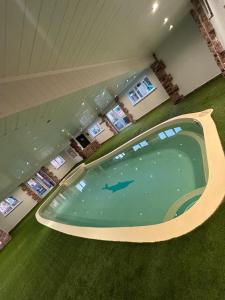 a swimming pool with a shark in the water at The PADhouse in York