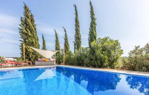 a swimming pool in a villa with trees at Villa Pranayama in Santa Gertrudis de Fruitera