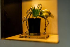 Imagen de la galería de 2 Bedroom Luxury Apartment with Pool -24Hrs Power -PS4, en Lagos