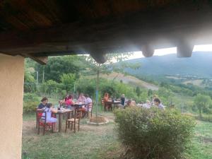 入住Agriturismo Il Covo del Solengo的客人