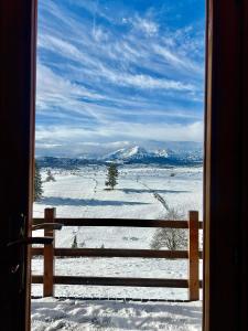 Paesaggio naturale nelle vicinanze dello chalet