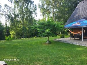 a tree in a yard next to a building at Chalupa u Alunka in Police nad Metují +59 photos