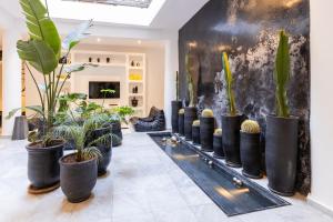 a row of potted plants in a room at Dar Belhaj in Marrakech