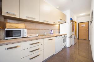 Kuchyň nebo kuchyňský kout v ubytování Apartment Tania