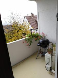 Galeriebild der Unterkunft Rheinblickhouse in Beuggen