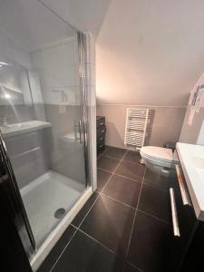 a bathroom with a shower and a toilet at Duplex Vista in Bonifacio