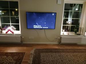 TV a/nebo společenská místnost v ubytování Havet Österlen
