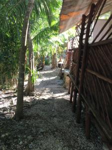 a pathway with benches and palm trees on a beach at Space for your tent in Tulum +6 photos