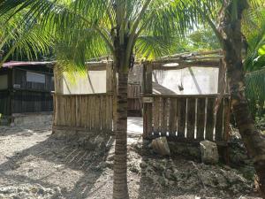 a couple of palm trees and a wooden gate at Space for your tent in Tulum