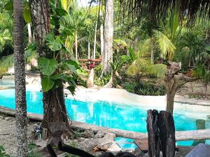 a swimming pool in a tropical garden with trees at Space for your tent in Tulum