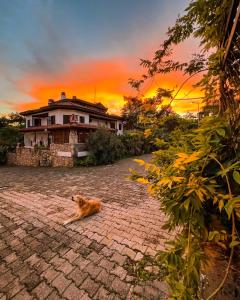 Gallery image of Liya Boutique Hotel & Suites in Akyaka