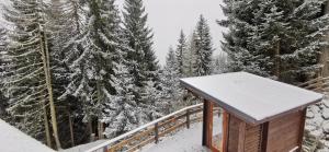 Chalet Alpl - Ferienwohnung Waldblick mit Sauna, Kamin & Whirlwanne v zimě