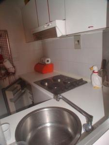 a small kitchen with a sink and a duck on the counter at Condominio La Grand'Ourse - Cervinia in Breuil-Cervinia +16 photos