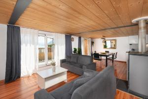 布里恩茨Charming Apartment-Prime Location的带沙发和电视的客厅
