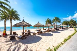 a beach with chairs and umbrellas and the ocean at Coconut Hotel in Phú Quốc