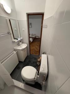 a white bathroom with a toilet and a sink at Madalina's House in Braşov +29 photos