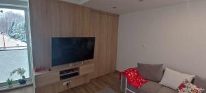 Μια τηλεόραση ή/και κέντρο ψυχαγωγίας στο LECH Home APARTAMENT NA GÓRZE