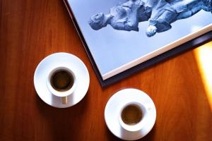 Fotografie z fotogalerie ubytování PARNIS PALACE Hotel Suites v destinaci Akharnaí