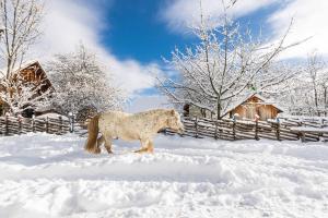 Afbeelding uit fotogalerij van Holzmeisterhütte Teichalm-Sommeralm in Sankt Kathrein am Offenegg +22 foto's