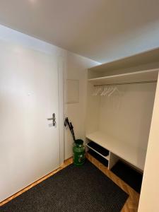 a room with a closet with a white door at Valaisia 50 in Riederalp