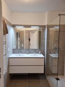 Koupelna v ubytování Beautiful T4 in new residence overhanging Briançon