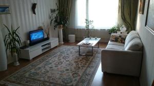 a living room with a couch and a tv at Apartment Haltijantie in Kotka