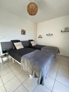 two beds sitting in a room with at Les terrasses des myosotis in Blotzheim