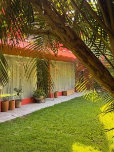 a building with plants on the side of it at Parque Juan Diego in Guadalajara