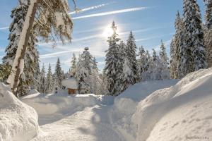 Chalet - Apartments Joel v zime