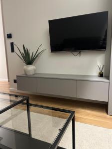 TV a/nebo společenská místnost v ubytování Apartament NP