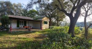 Zahrada ubytování House in the Olive Garden