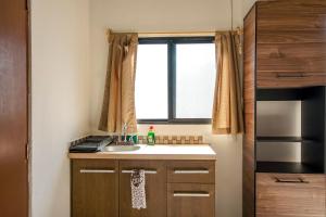 Una pequeña cocina con fregadero y ventana. en Lofts Tequisquiapan, en San Luis Potosí 108 fotos más