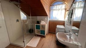 a bathroom with a shower and a sink at NEW Suite mar e monti in Appiano sulla Strada del Vino