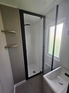 a bathroom with a shower and a sink and a mirror at loggia 29 in Biville-sur-Mer