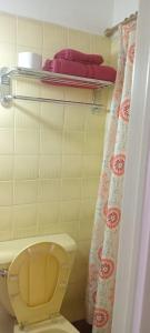 Un baño con inodoro y cortina de ducha. en Belgrano 332, en Bahía Blanca