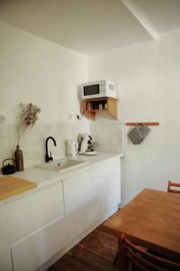 a kitchen with a sink and a microwave at Studio Microchole Chinon in Chinon +19 photos