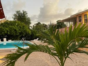 Бассейн в The Monteray Hotel или поблизости