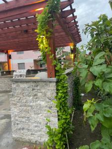 Сад в The Monteray Hotel