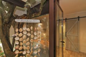 a display of shells hanging from a tree at Studio Šumbora in Peroj