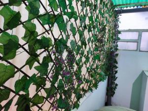 Κήπος έξω από το Apartamento San Millan Confort