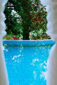 Gallery image of Capri Villa w Swimming Pool, Pool Table, Lake View in Mwanza