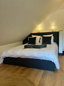 una camera da letto con un letto grande con due cuscini di Art des sens - SPA et Sauna privatifs a Boulogne-sur-Mer