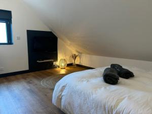 una camera da letto con letto e televisore in mansarda di Art des sens - SPA et Sauna privatifs a Boulogne-sur-Mer