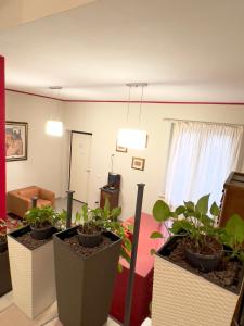 Fotografie z fotogalerie ubytování Casa Celeste v destinaci Nocera Umbra