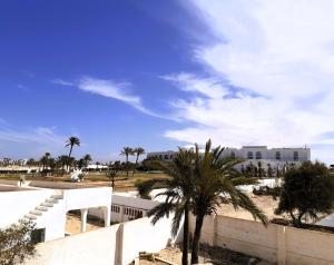 a palm tree in front of a building at Dar Dalenda in Mezraya