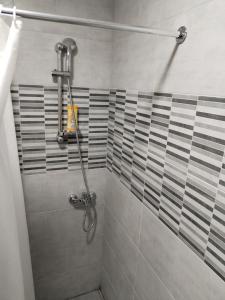 a shower with a glass door in a bathroom at Lori apartman in Belgrade