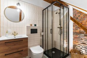 a bathroom with a shower and a toilet and a sink at W deSki dom apartamenty in Krzyżowa